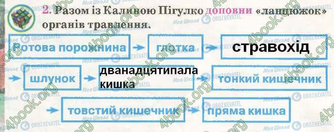 ГДЗ Природознавство 3 клас сторінка Стр50 Впр2